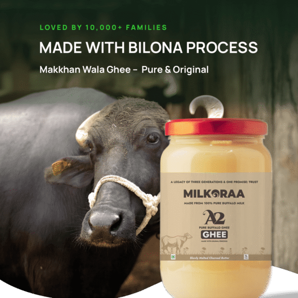 Desi Bilona Buffalo Ghee
